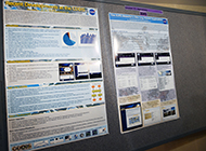 CDDIS posters